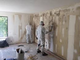 Best Mold Documentation for Insurance Claims  in Dorneyville, PA